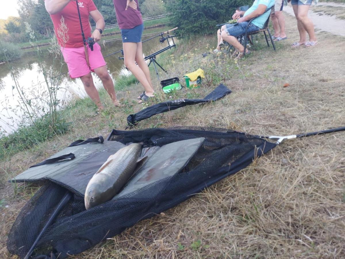 Pensjonat Siedlisko Pod Dębem Wilimy
